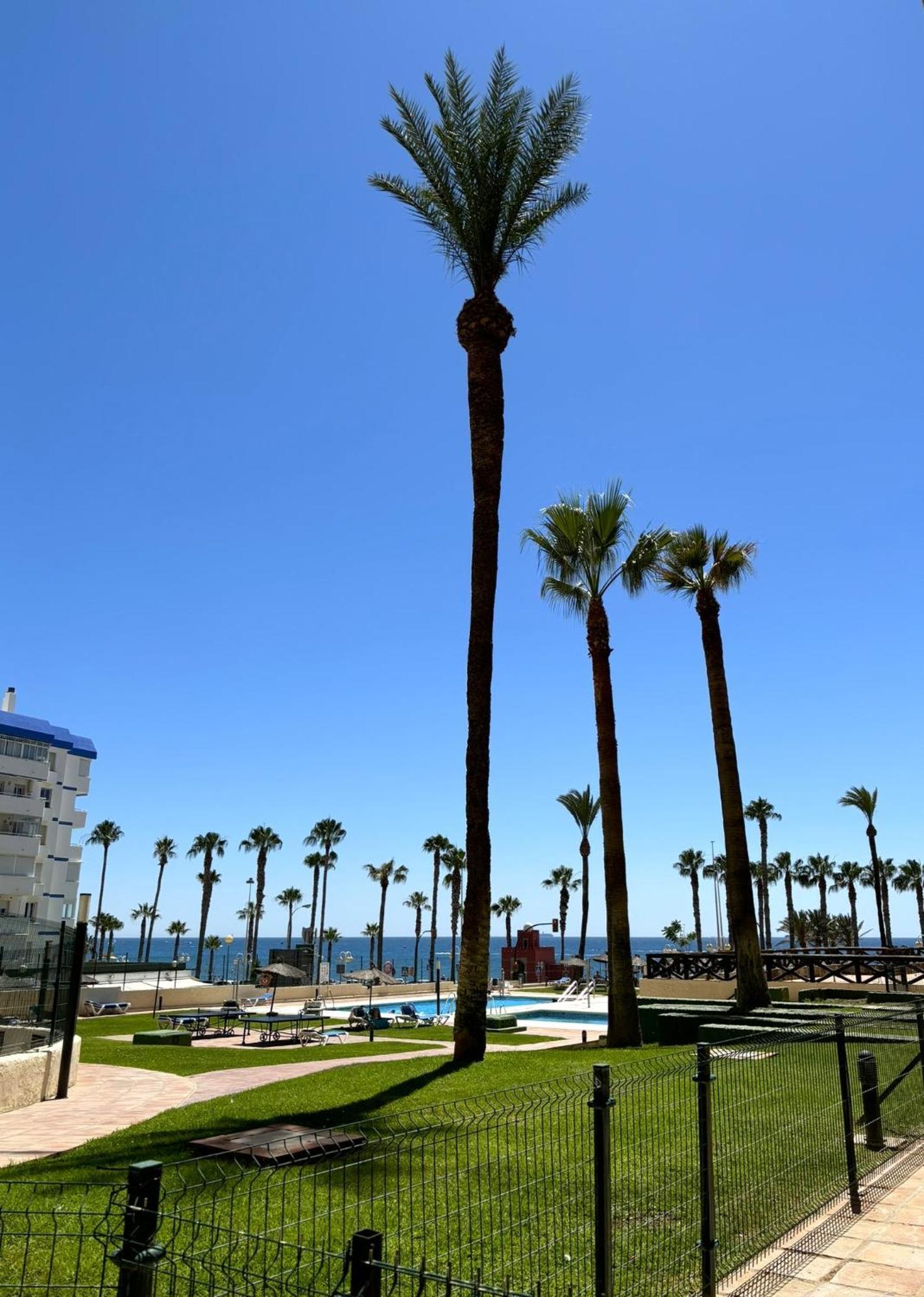 贝纳尔马德纳Aloha Playa Vistas Al Mar公寓 外观 照片